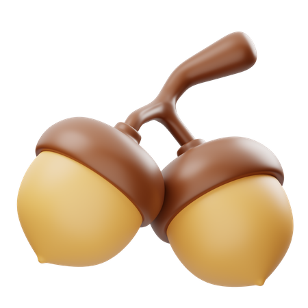 Acorn 3D Icon