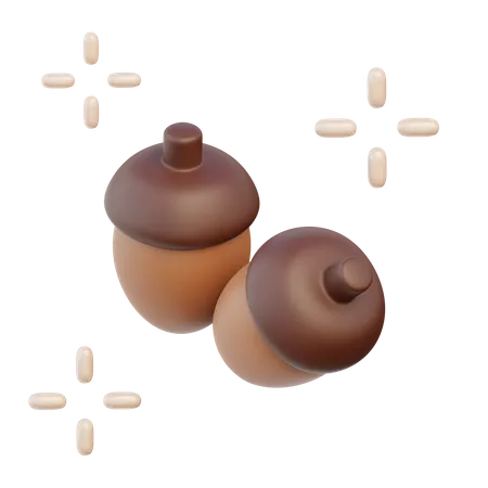 Acorn  3D Illustration