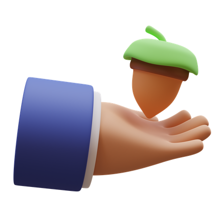 Acorn In Hand  3D Icon