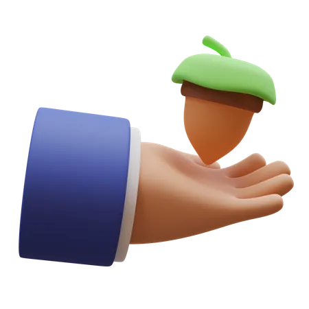 Acorn In Hand  3D Icon