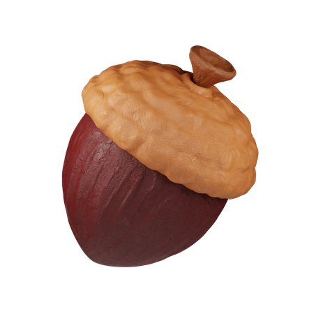 Acorn Nut  3D Icon