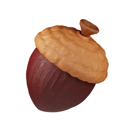 Acorn Nut  3D Icon