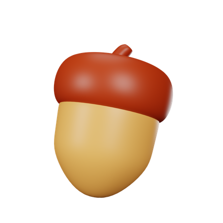 Acorn Nut  3D Icon