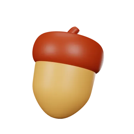 Acorn Nut  3D Icon