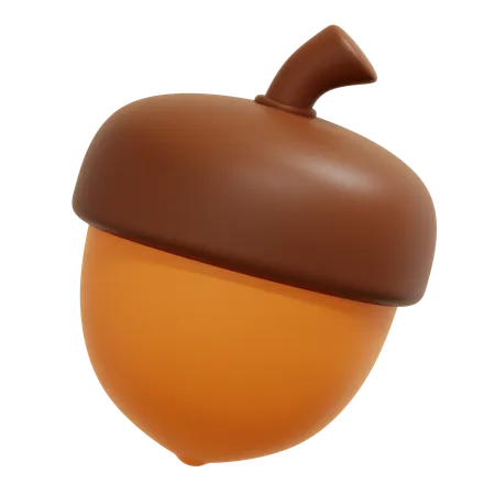 Acorn Nut  3D Icon