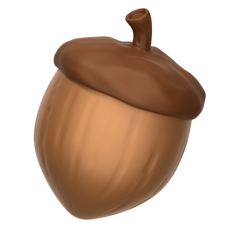 Acorn Nut  3D Icon