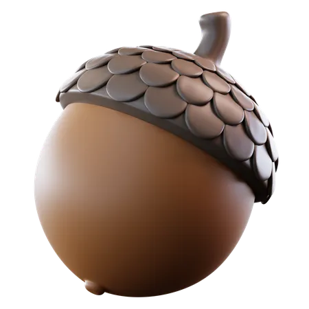 Acorn Nut  3D Icon