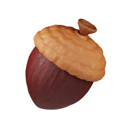 Acorn Nut  3D Icon