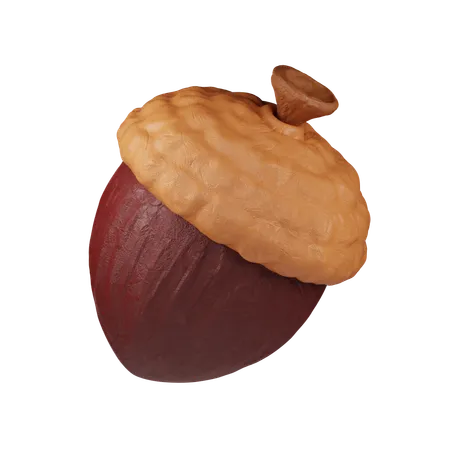 Acorn Nut  3D Icon