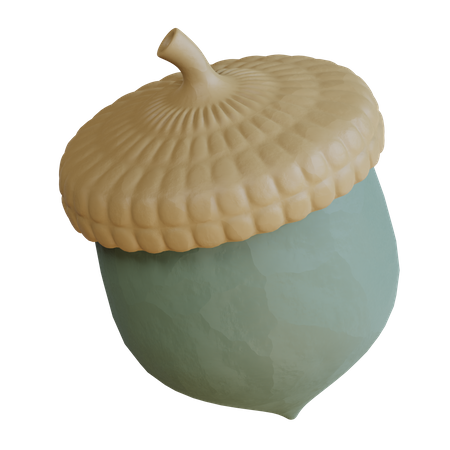 Acorn Nut  3D Icon