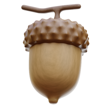 Acorn Nut  3D Icon