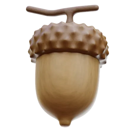 Acorn Nut  3D Icon