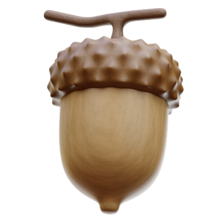 Acorn Nut  3D Icon