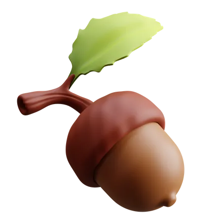 Acorn Nut  3D Illustration