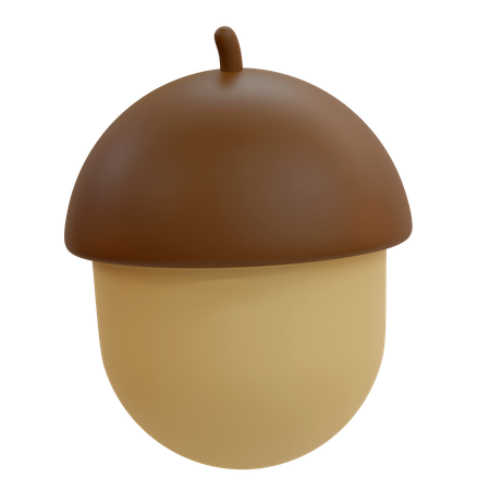 Acorn Nut  3D Illustration