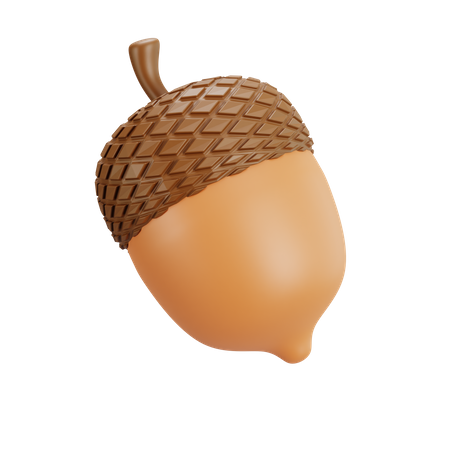 Acorn Nut  3D Illustration