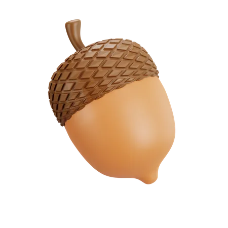 Acorn Nut  3D Illustration