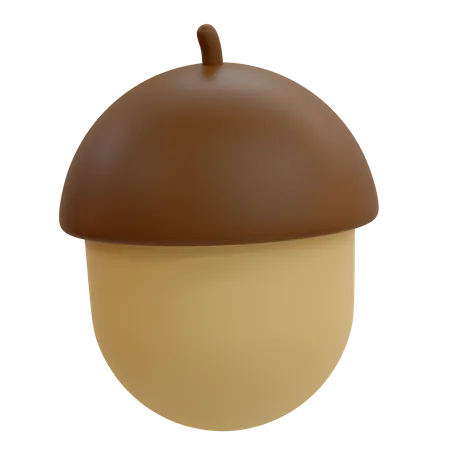 Acorn Nut  3D Illustration