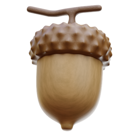 Acorn Nut 3D Illustration