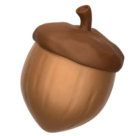 Acorn Nut  3D Icon