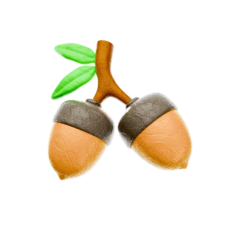 Acorn Nuts  3D Icon