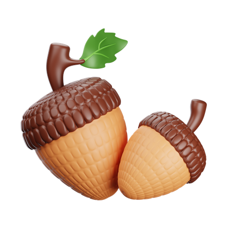 Acorns  3D Icon