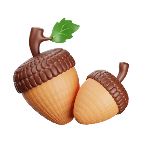 Acorns  3D Icon