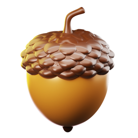 Acorns  3D Icon