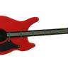 Acoustic Guitar