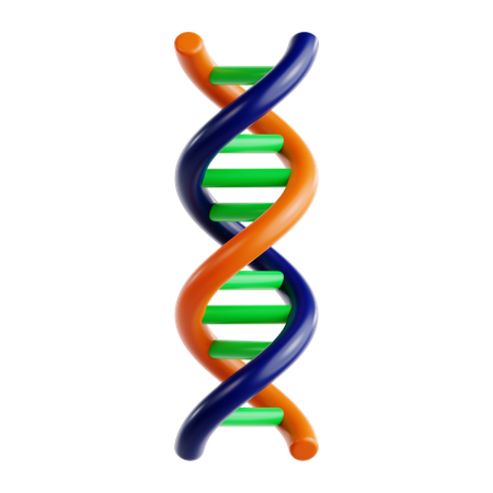Adn  3D Icon