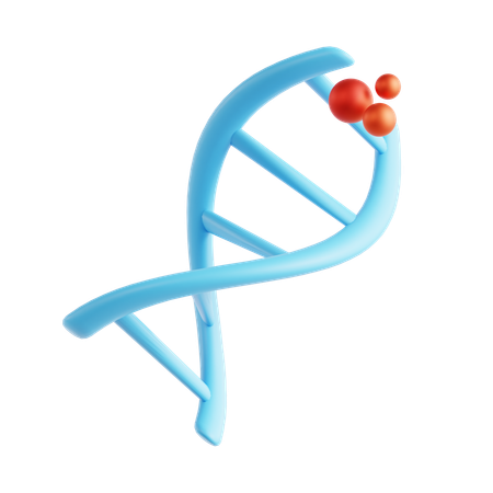 ADN  3D Icon