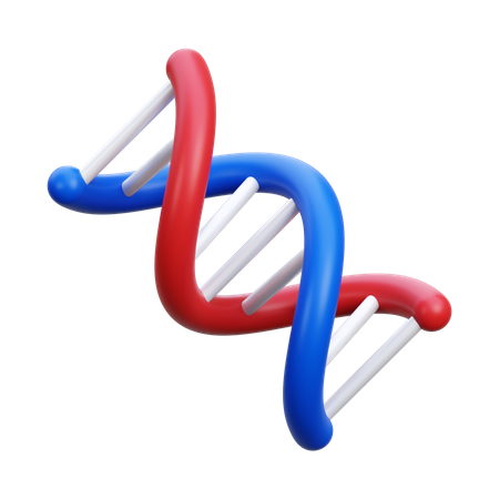 Adn  3D Icon