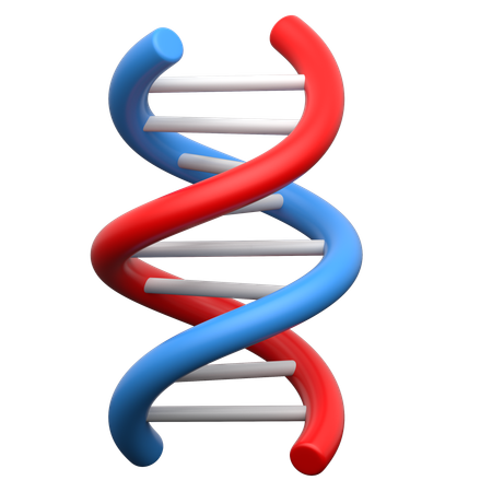 ADN  3D Icon