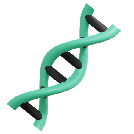 ADN  3D Icon