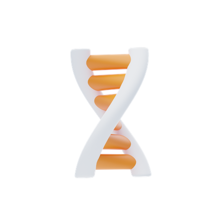 ADN  3D Icon