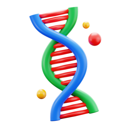 Adn  3D Icon