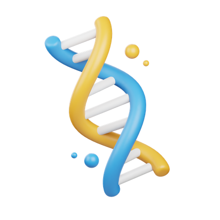 Adn  3D Icon