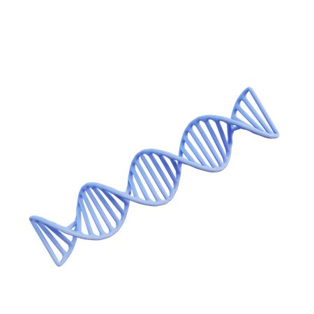 ADN humain  3D Illustration