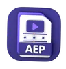 AEP File