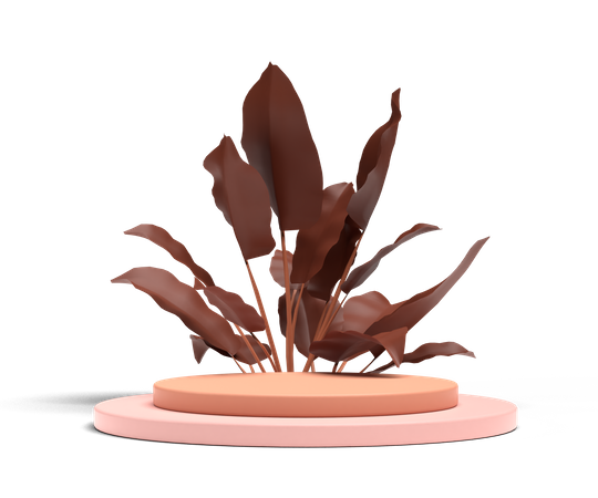 Affichage du podium  3D Icon