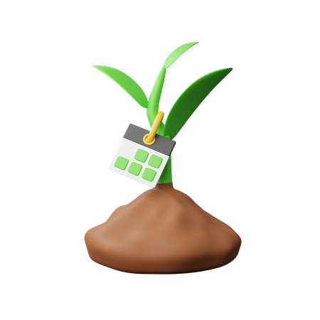 Âge de la plante  3D Icon