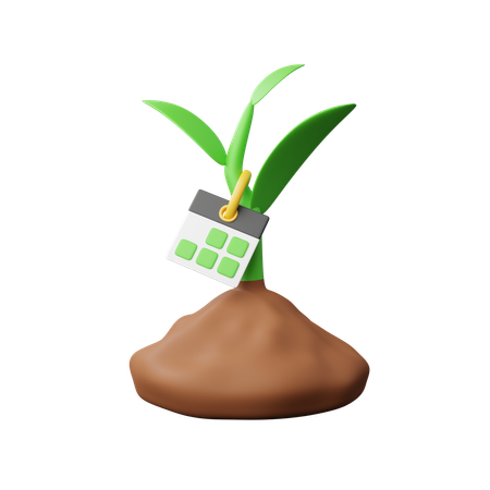 Age of the plant  3D Icon