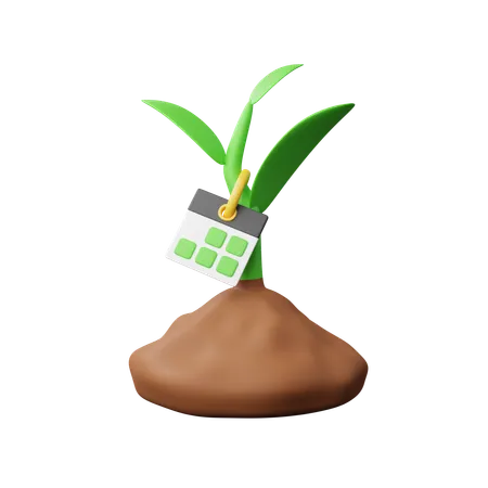 Age of the plant  3D Icon