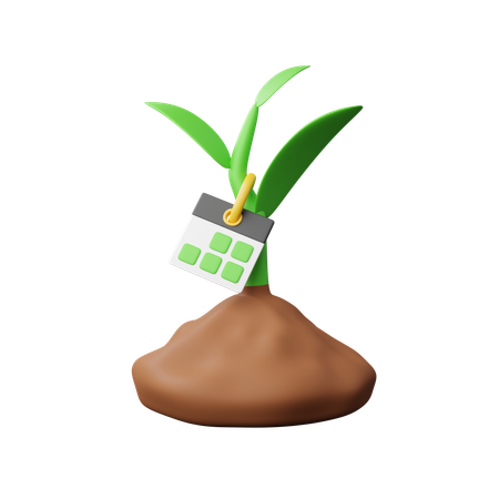 Age of the plant  3D Icon