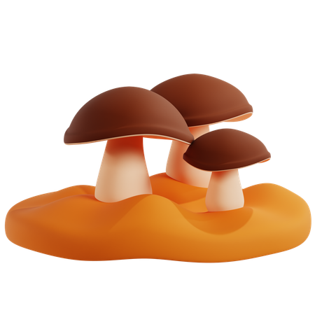 Aglomerado de cogumelos marrons na floresta  3D Icon