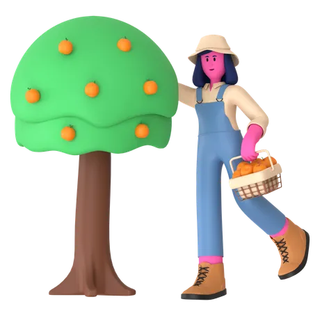 Agricultora colhendo frutos de árvore frutífera  3D Illustration