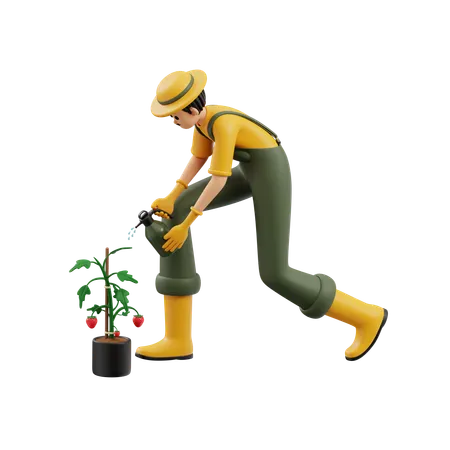 Agricultores pulverizam morango com herbicida  3D Illustration