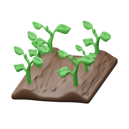 Agricultura  3D Icon