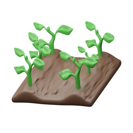 Agricultura  3D Icon