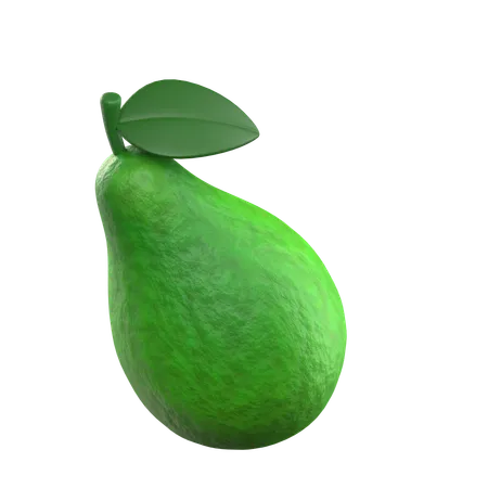 Palta  3D Icon